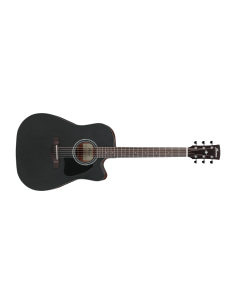 IBANEZ AW247CE-WKH