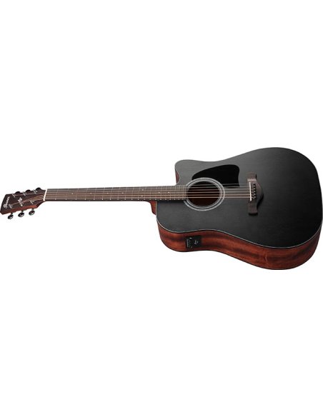 IBANEZ AW247CE-WKH