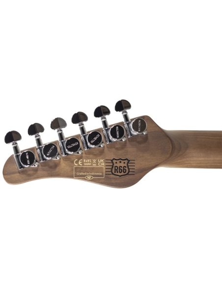 SCHECTER R66 VINTAGE PT SERIES