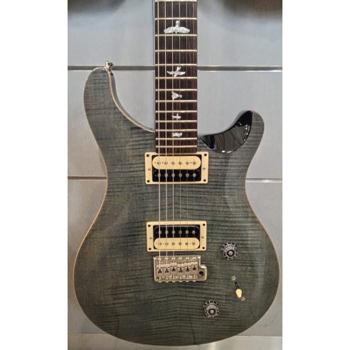 PRS SE CUSTOM 22 2001