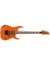IBANEZ RG460DX-ROM