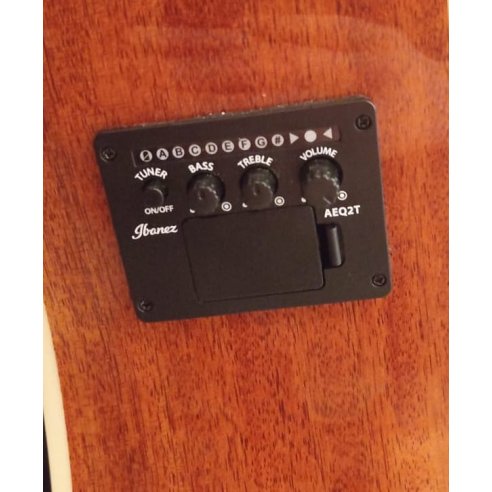 IBANEZ PF15ECE-NT