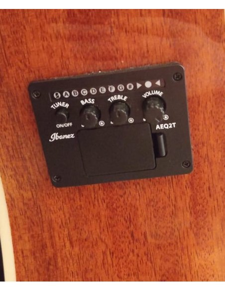IBANEZ PF15ECE-NT