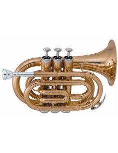 SML Paris VSM TP50 Tromba Pocket Laccata