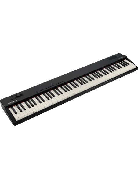 ROLAND GO-88PX