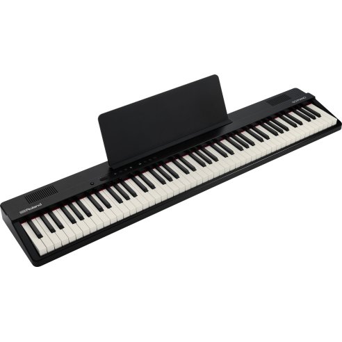 ROLAND GO-88PX