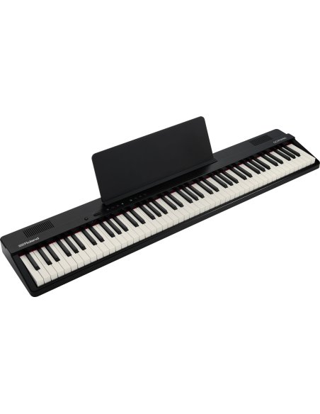 ROLAND GO-88PX