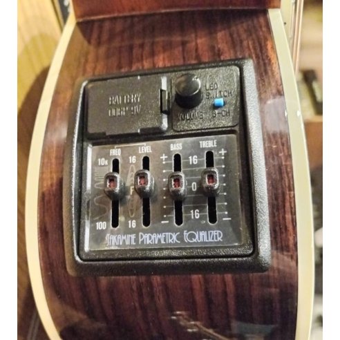 TAKAMINE FP360S
