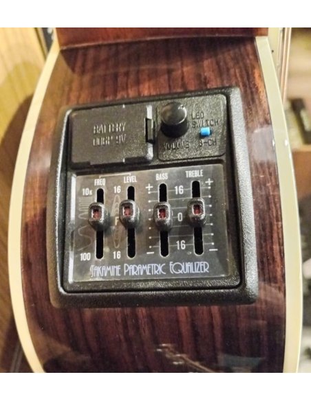 TAKAMINE FP360S
