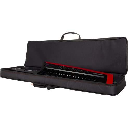 ROLAND CB-BAG X AX-EDGE