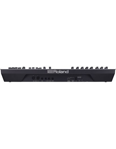 ROLAND GAIA-2