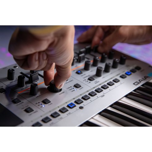 ROLAND GAIA-2