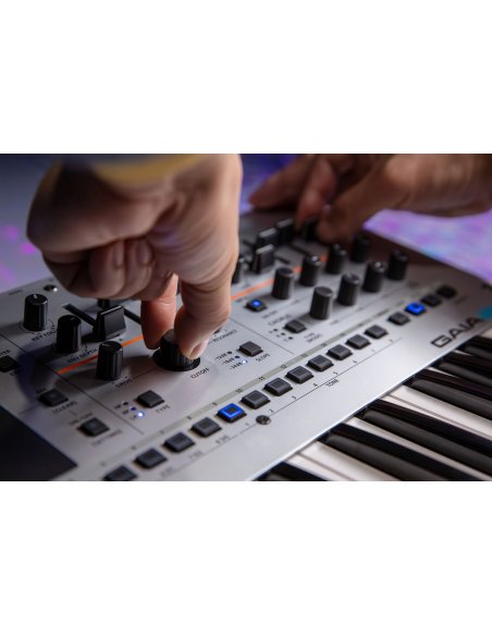 ROLAND GAIA-2