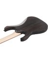 IBANEZ RGR431PB-CGF