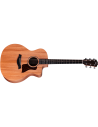 TAYLOR 24CE