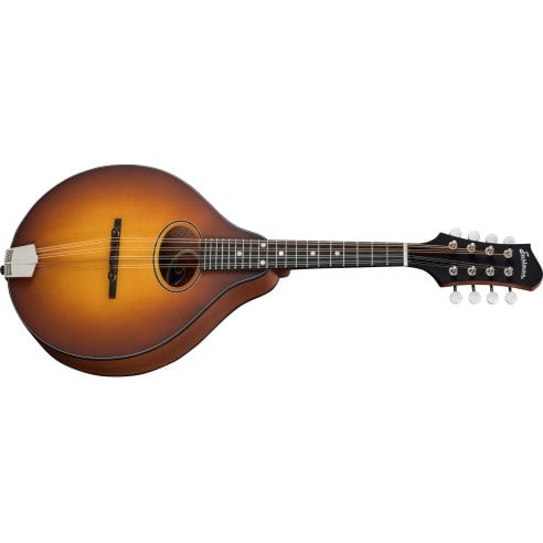 EASTMAN PCH-M104-GB A STYLE GOLDBURST