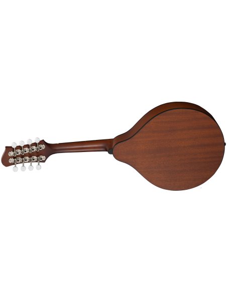 EASTMAN PCH-M104-GB A STYLE GOLDBURST