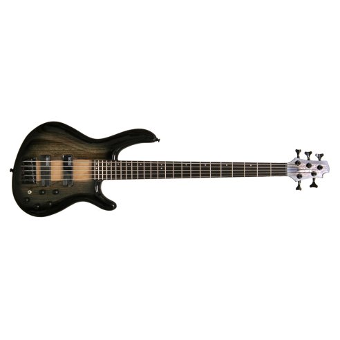 CORT ARTISAN C5 PLUS ZBMH TBB