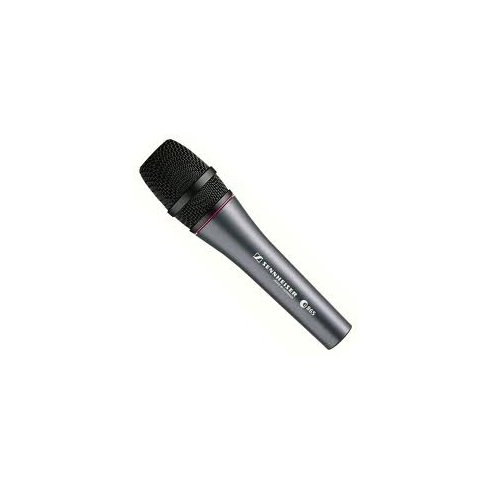 SENNHEISER E865