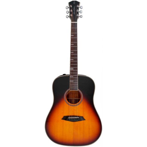 LARRY CARLTON A4-D VINTAGE SUNBURST