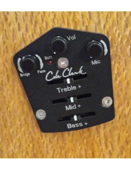 COLE CLARK FL1-EC