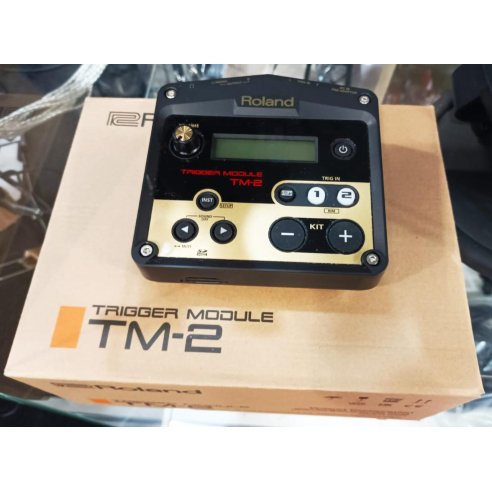 ROLAND TM-2