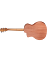 TAYLOR 14CE