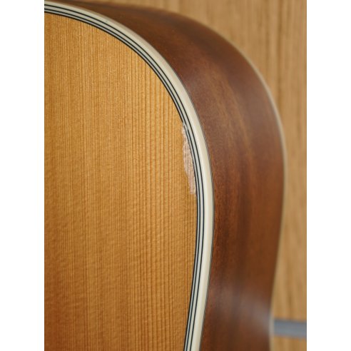 TAKAMINE GD20