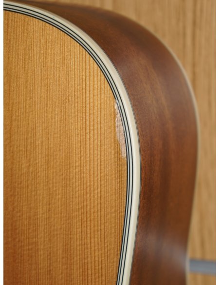 TAKAMINE GD20
