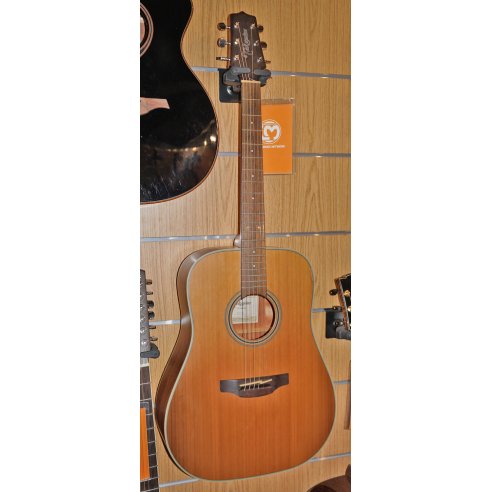 TAKAMINE GD20