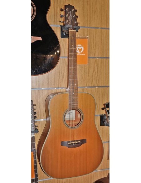 TAKAMINE GD20