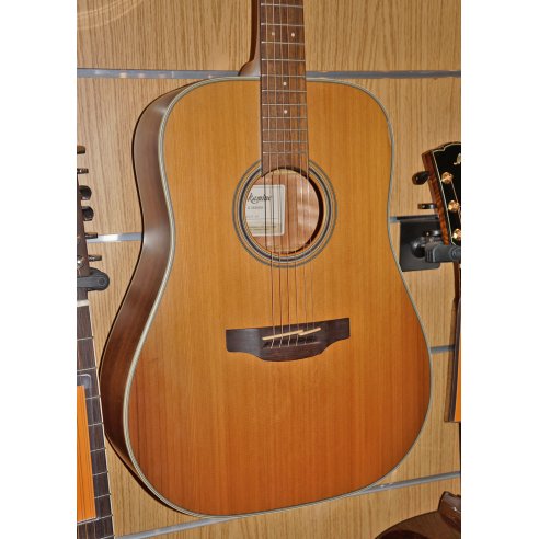 TAKAMINE GD20