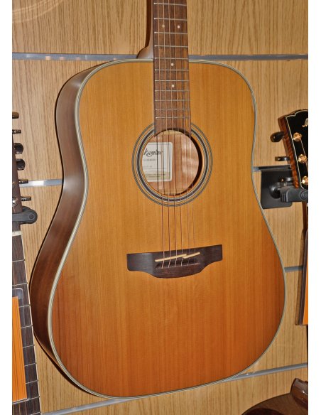 TAKAMINE GD20