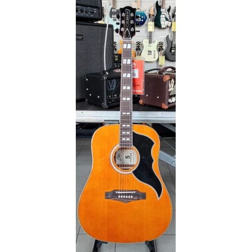 EKO RANGER VI VR NATURAL TOP STAINED EQ