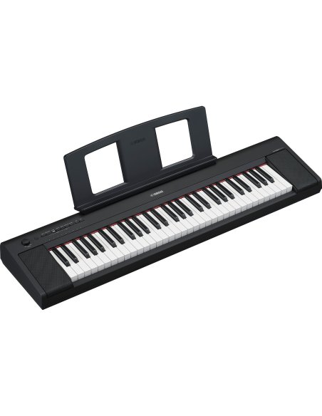 YAMAHA NP15B