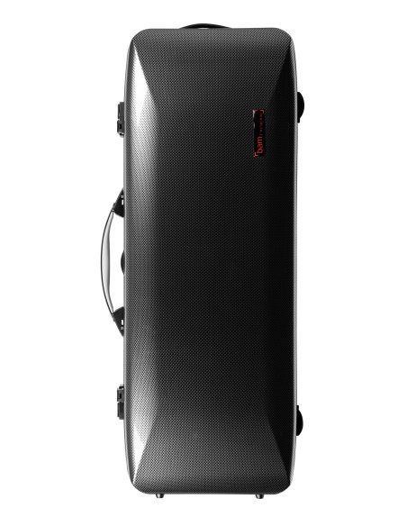 BAM ITALIA 5301XLSC HIGHTECH OBLONG VIOLA CASE SILVER CARBON