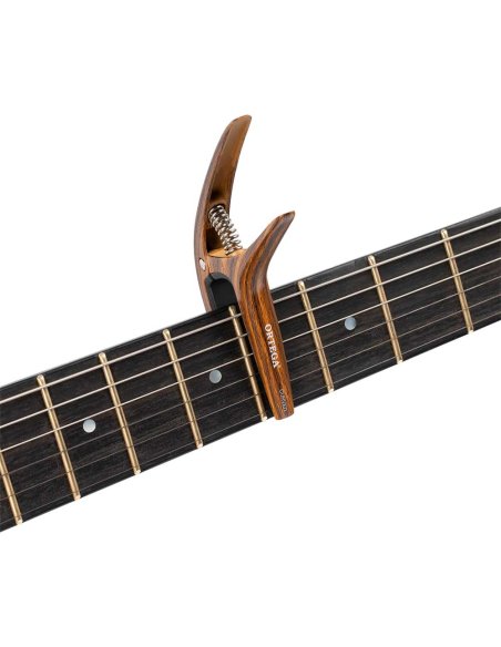 ORTEGA TWCAPO-WND