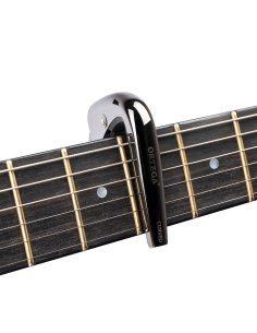 ORTEGA TNCAPOCV-BCR