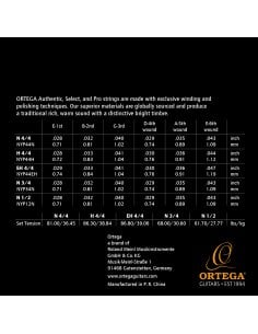ORTEGA NYP34N 2