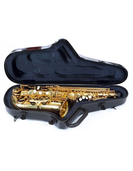 BAM ITALIA STAGE4111IN CUSTODIA STAGE PER SAX ALTO - BLACK SABBATH