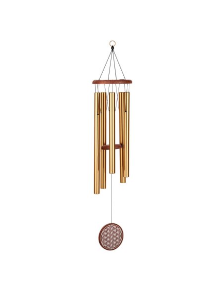 SONIC ENERGY FOLMC36B
