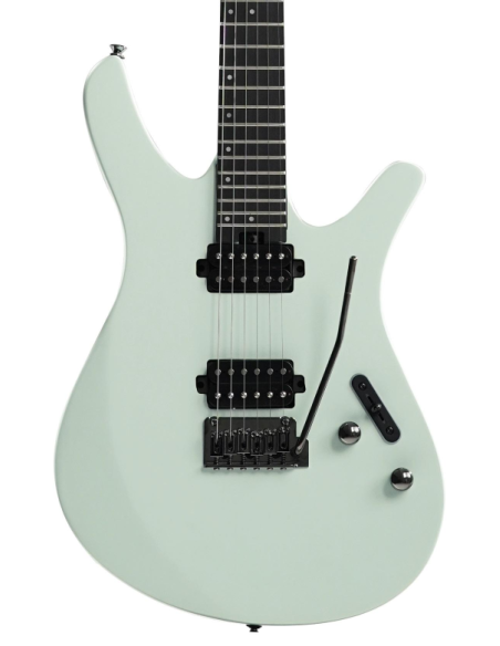 DIVITONE DSG-10 GY  GRAY SMART GUITAR + BAG