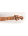 MUSIC MAN AXIS SS HH TREM YUCATAN BLUE FLAME ROASTED