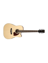 IBANEZ PF16 W CE NT