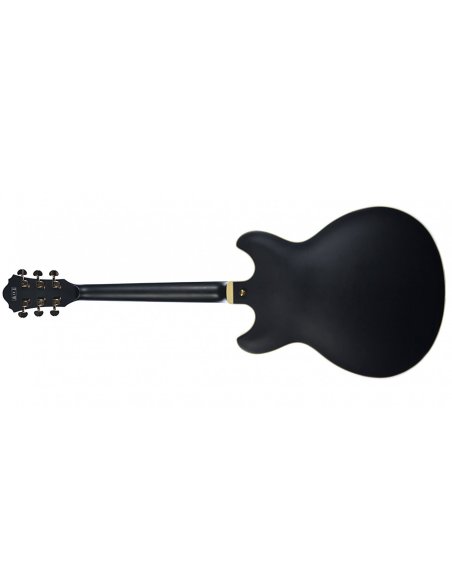 IBANEZ AS73G-BKF