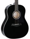 TAYLOR 217e BK PLUS MAPLE SPRUCE