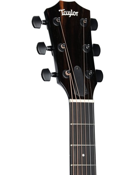 TAYLOR 217e BK PLUS MAPLE SPRUCE