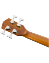 FENDER CB-60SCE NATURAL