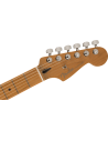 FENDER DE PLAYER PLUS HSS ROASTED MN BLACK