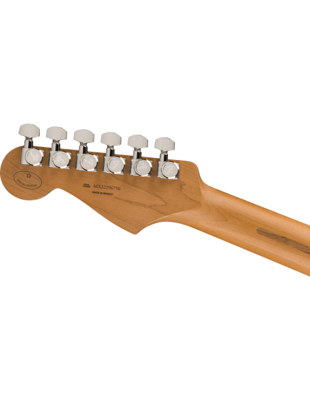 FENDER DE PLAYER PLUS HSS ROASTED MN BLACK